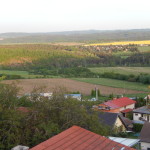 DSCN1491