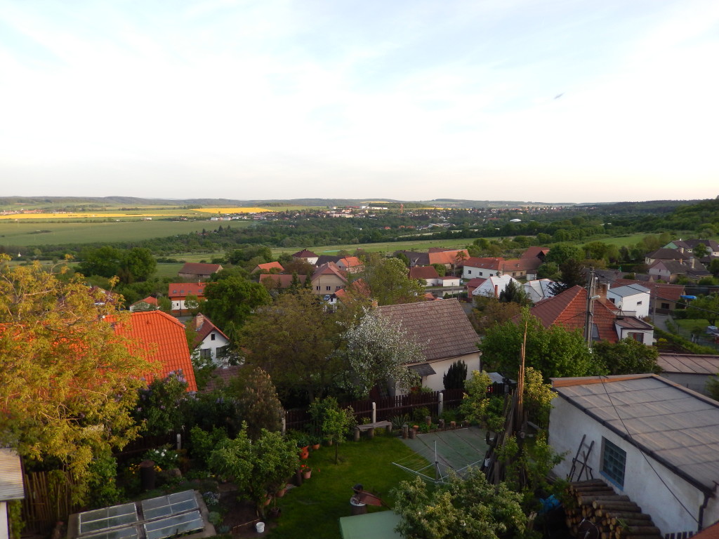 DSCN1493