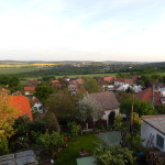 DSCN1493