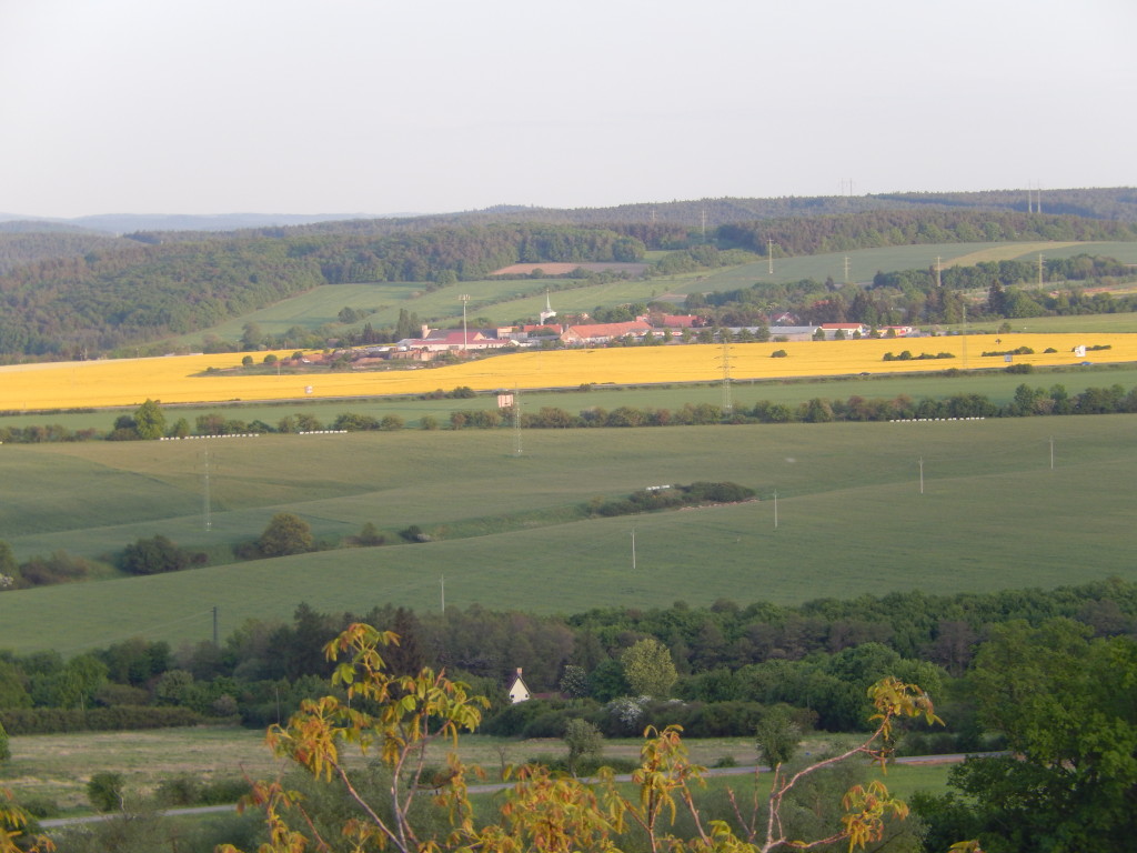 DSCN1501