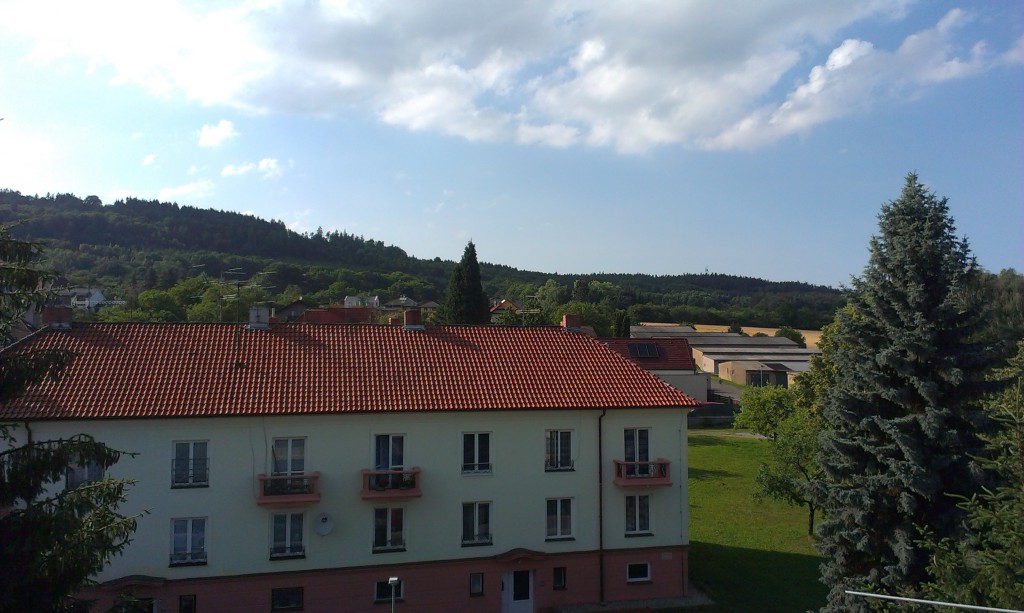 IMAG2533