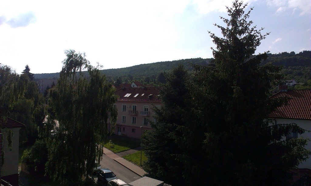 IMAG2535